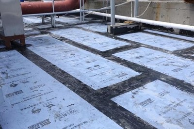 守護生命健康,卓寶助力新冠中和抗體研發(fā)企業(yè)生產基地建設!