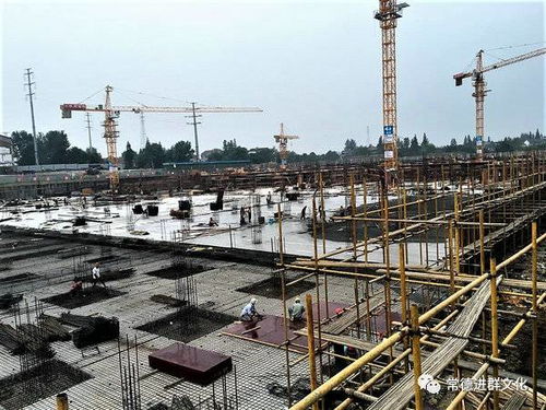 巾幗扶貧 彰顯她力量 系列故事之五 保溫防水重綠色 扶貧濟(jì)困獻(xiàn)愛(ài)心