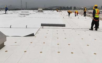 實(shí)力見(jiàn)證!57萬(wàn)㎡TOP柔性屋面特種材料供應(yīng)商!